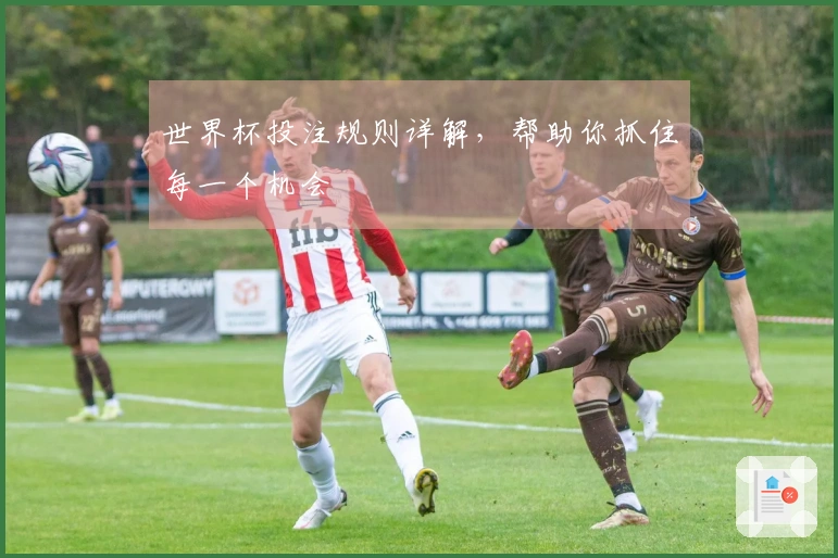 世界杯投注规则详解，帮助你抓住每一个机会