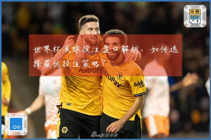 世界杯滚球投注盘口解析，如何选择最优投注策略？