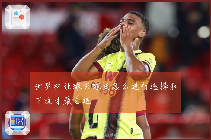 世界杯让球买球该怎么进行选择和下注才最合适