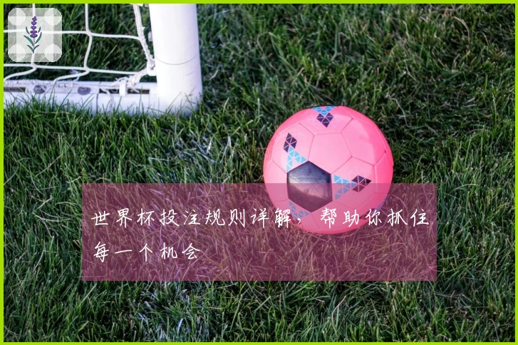 世界杯投注规则详解，帮助你抓住每一个机会