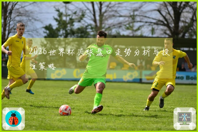 2026世界杯买球盘口走势分析与投注策略
